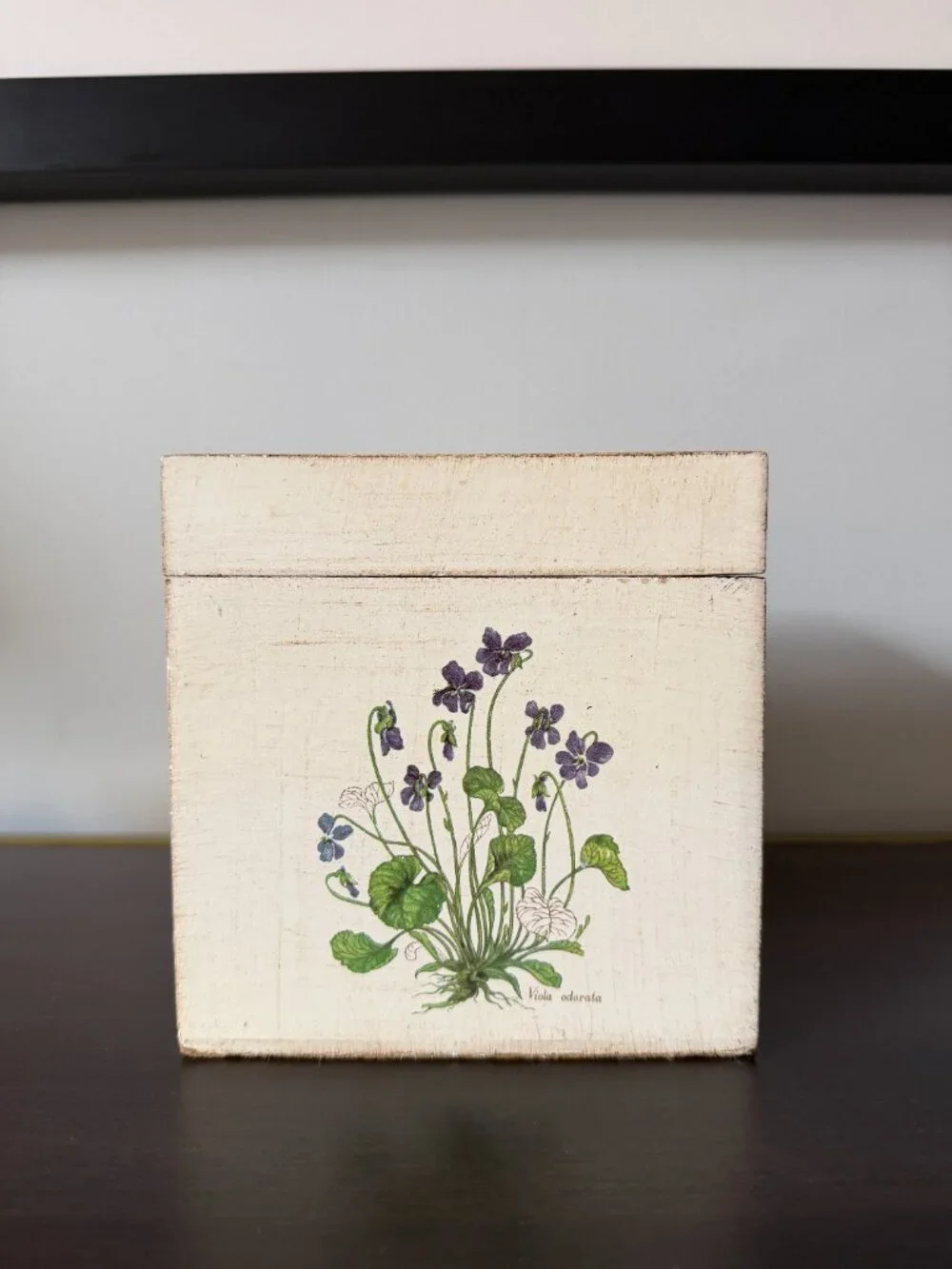 Vintage (circa 2000) Vietri Tissue Box